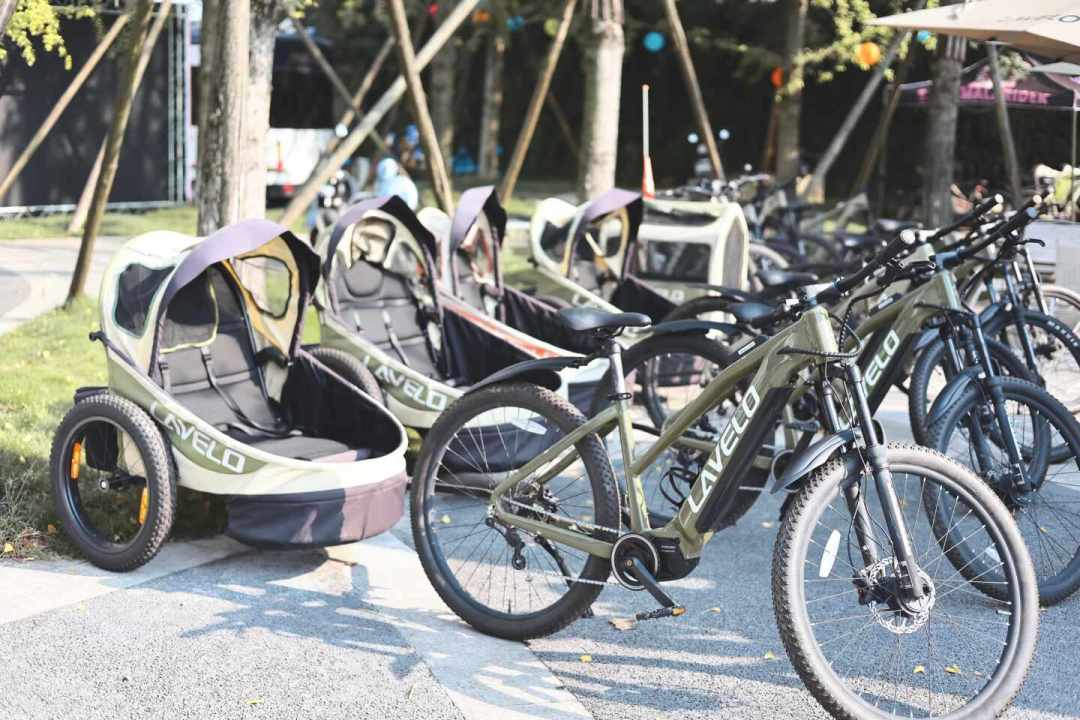 亲子拖车突然火了:花几千买还是花百元租?看完各地真实体验再决定