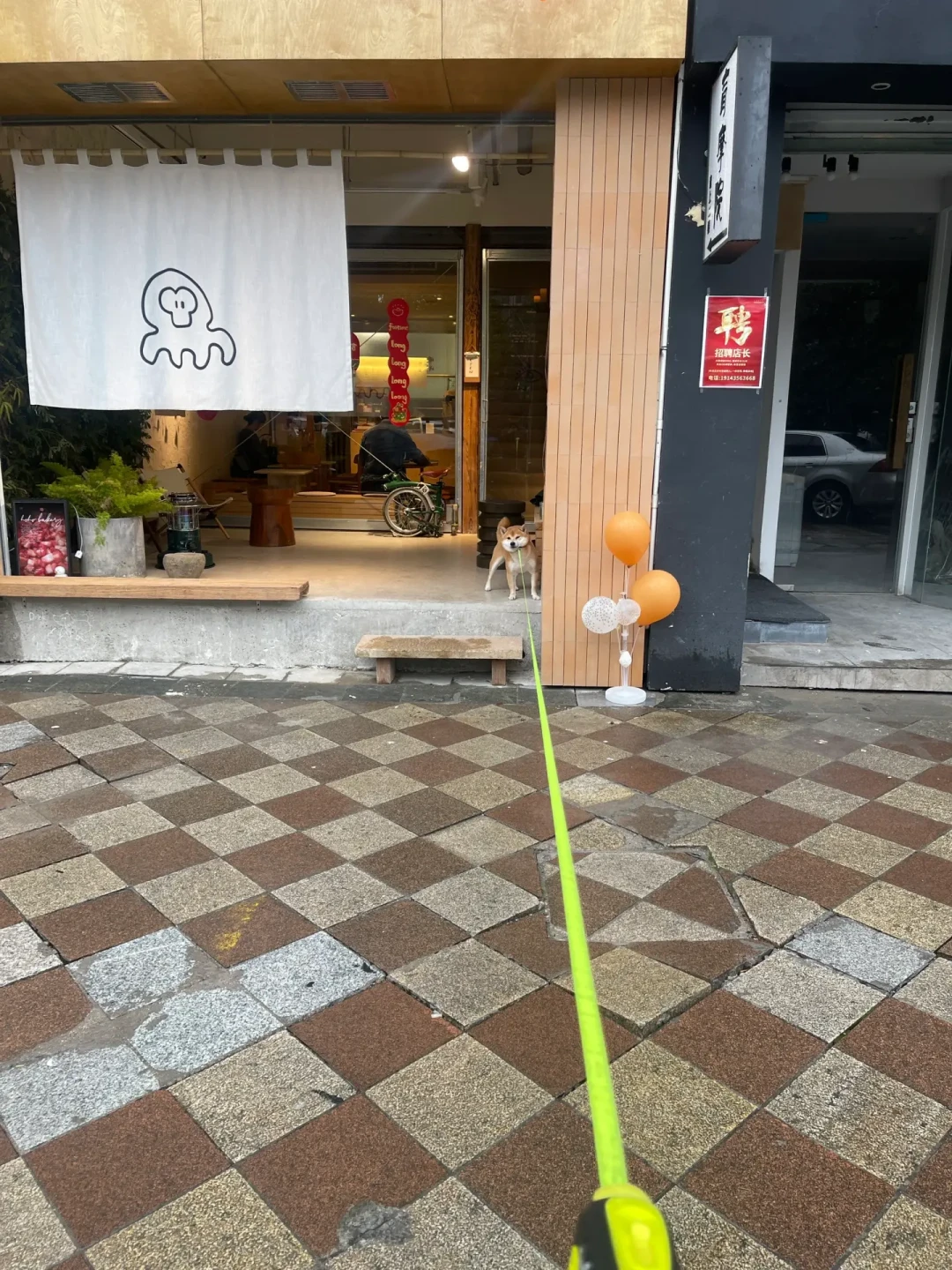喊破喉咙狗也不回来?翻完全网几十篇召回教程,我发现问题不在狗不忠,而在你叫得太多