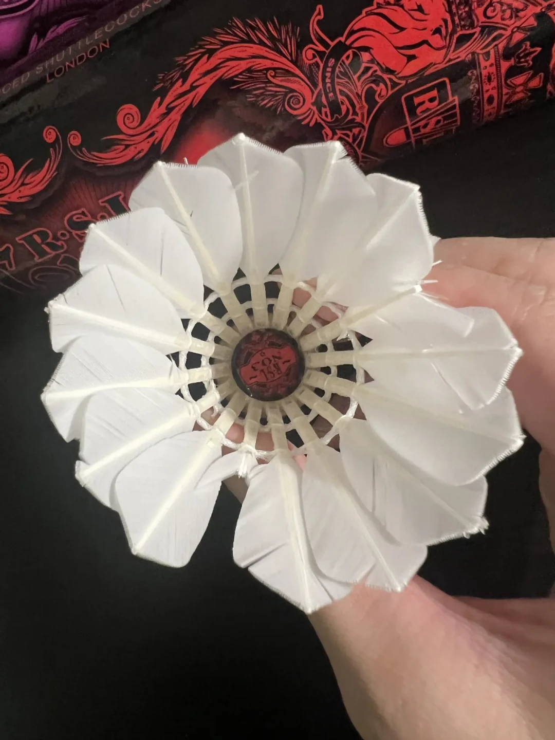 全球每10只羽毛球就有1只来自贵州:你打的亚狮龙,来头比你想的大