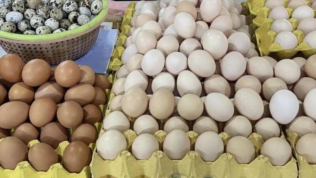 鸡蛋9天涨了15.5%破5元一斤，同比大涨58.46%：肉食者先别急着囤，这波涨价有明确的截止日期