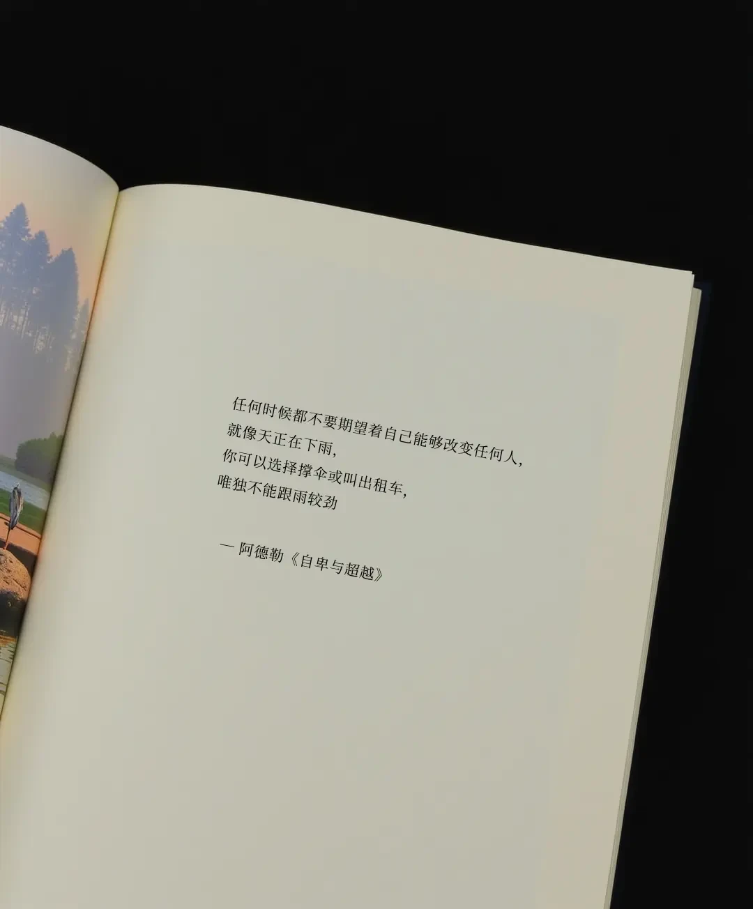 《被讨厌的勇气》其实不是阿德勒写的:入门选书、阅读顺序和2个版本坑