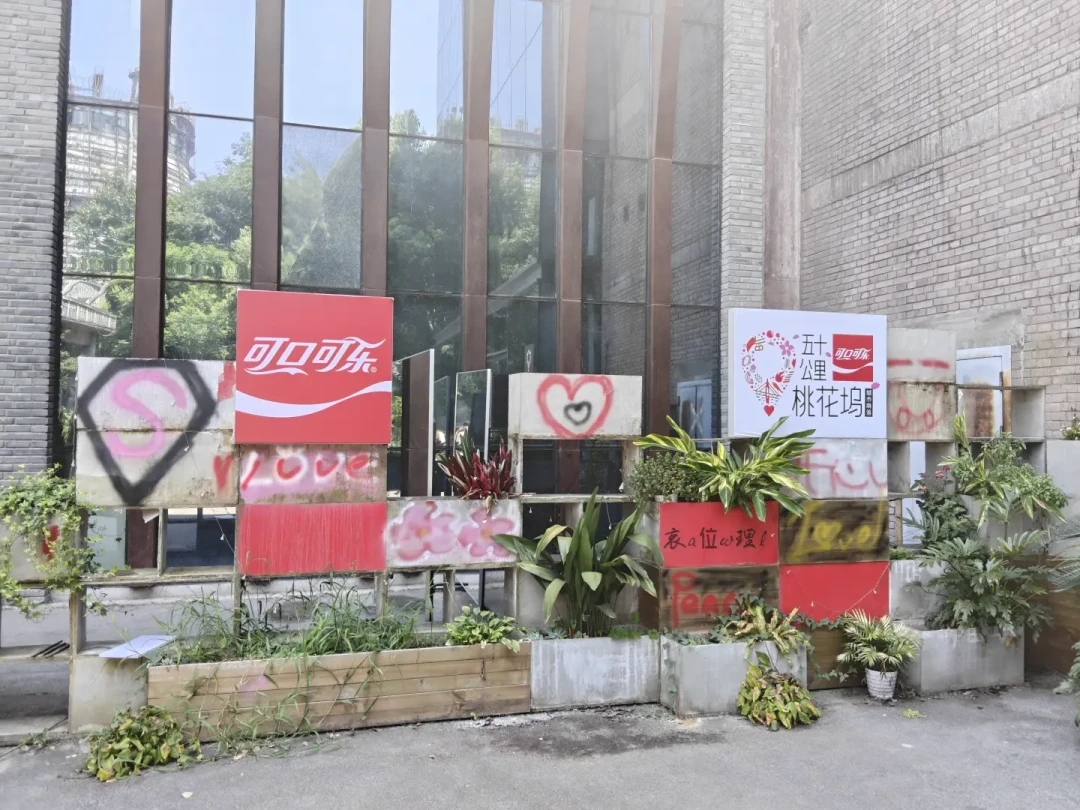 《五十公里桃花坞6》收官满月，重庆取景地正在拆除：现在去打卡还来得及吗？