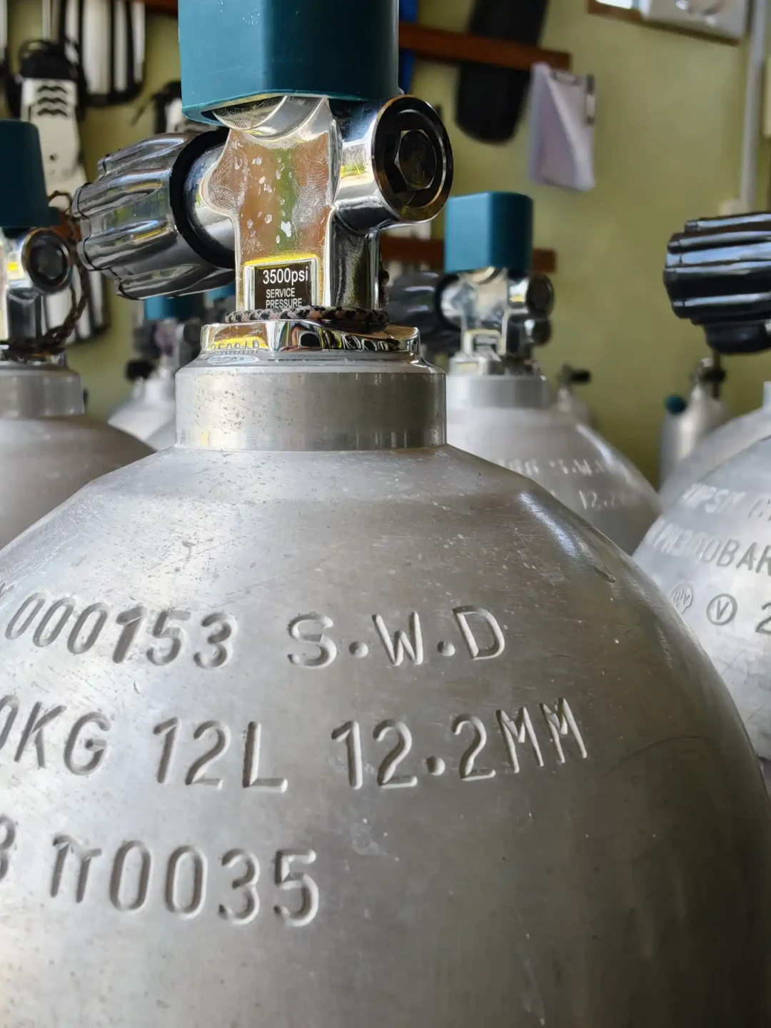 从10块钱的咬嘴到5000块的调节器:潜水新手第一套装备,建议按这个顺序买