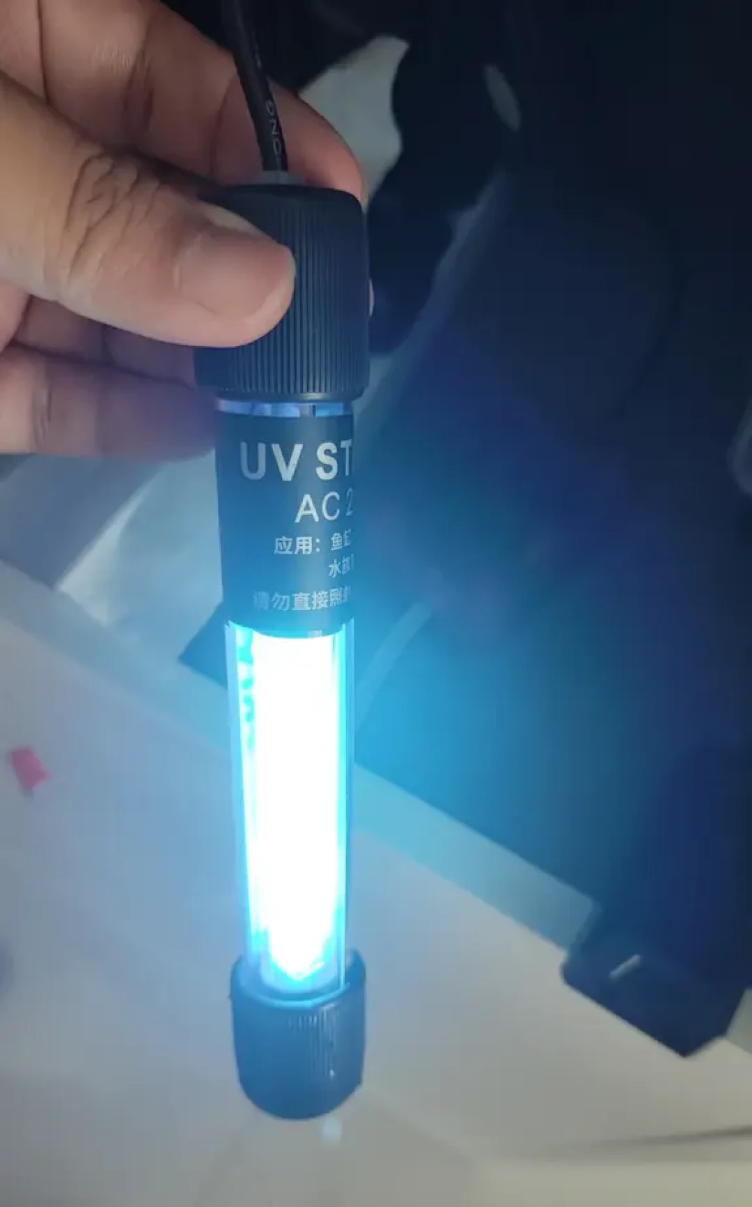 鱼缸绿水一夜变清?一条毛巾就够了,但买UV杀菌灯前一定要问这三件事