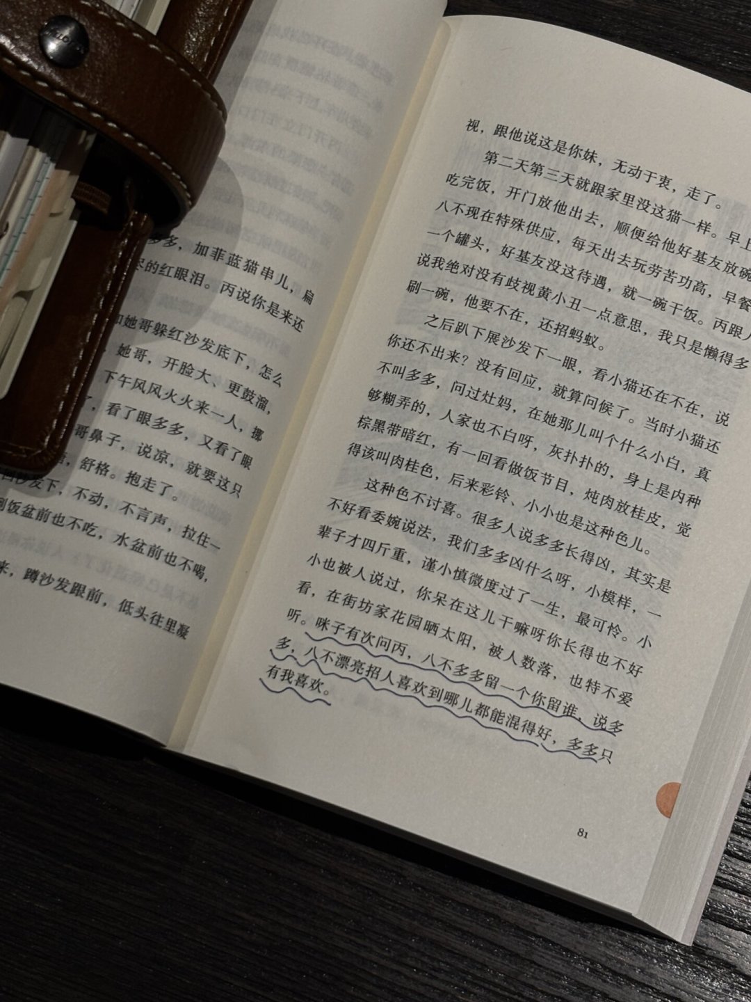 《好猫八不》读不下去?别急着合上书:三个误读、四个读法,读者都替你趟出来了