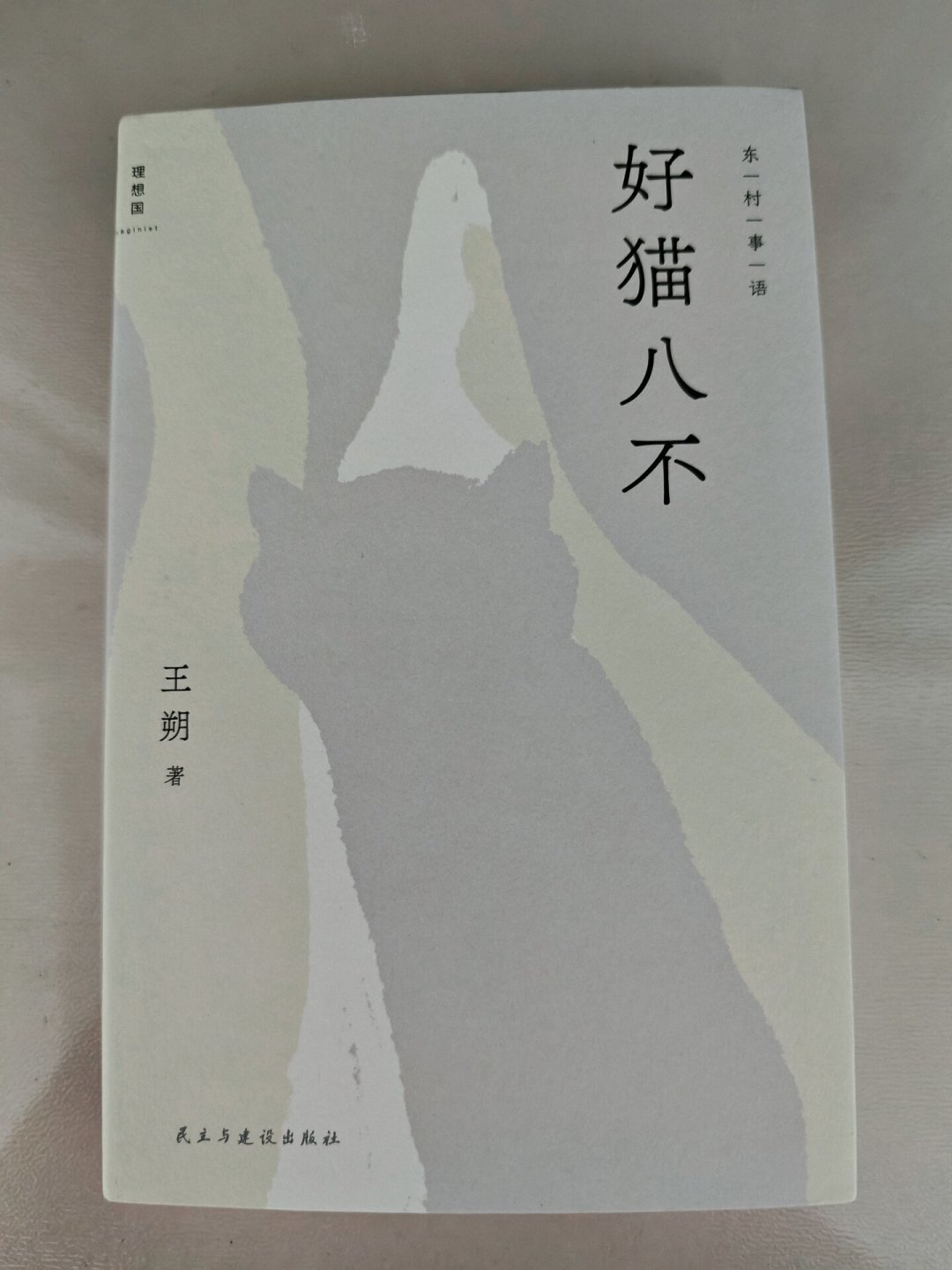 《好猫八不》读不下去?别急着合上书:三个误读、四个读法,读者都替你趟出来了