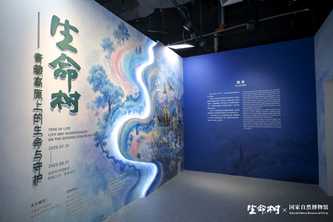 胡歌的《生命树》特展8月31日收官:夜场已经结束,别照旧攻略跑空,这份是当前有效版