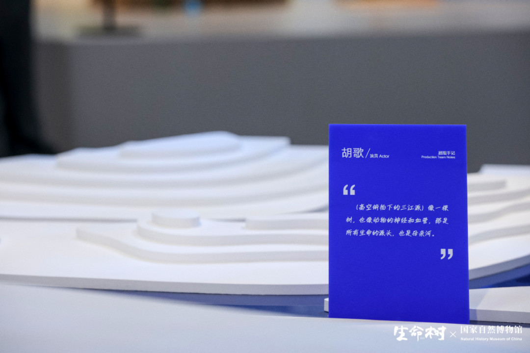 胡歌的《生命树》特展8月31日收官:夜场已经结束,别照旧攻略跑空,这份是当前有效版