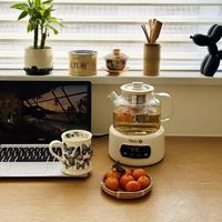 桌面小茶炉｜全玻璃恒温养生壶