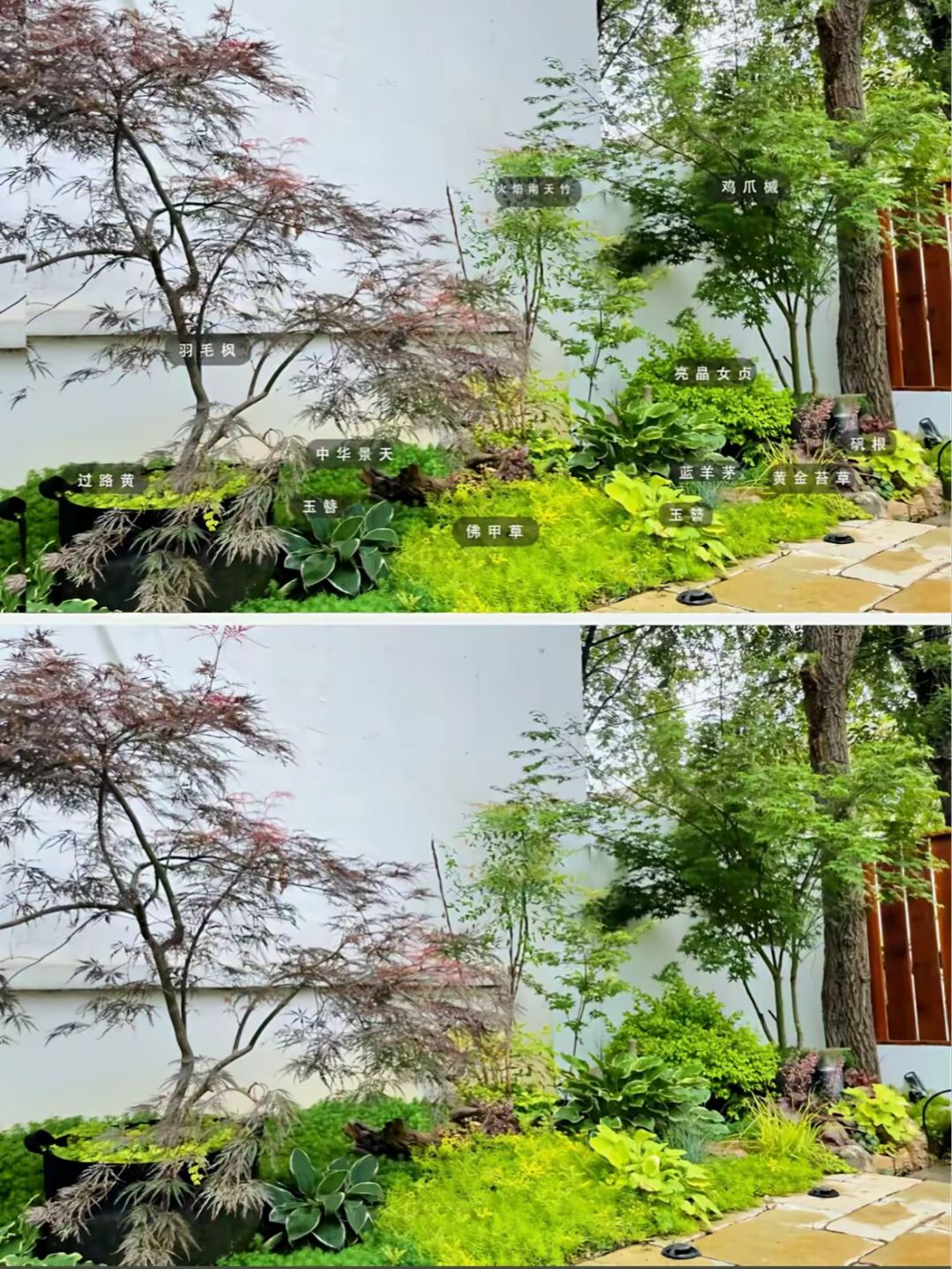 春天种的花境，8月就翻车？我们扒了全网20多个翻车复盘，发现错的其实就这5件事