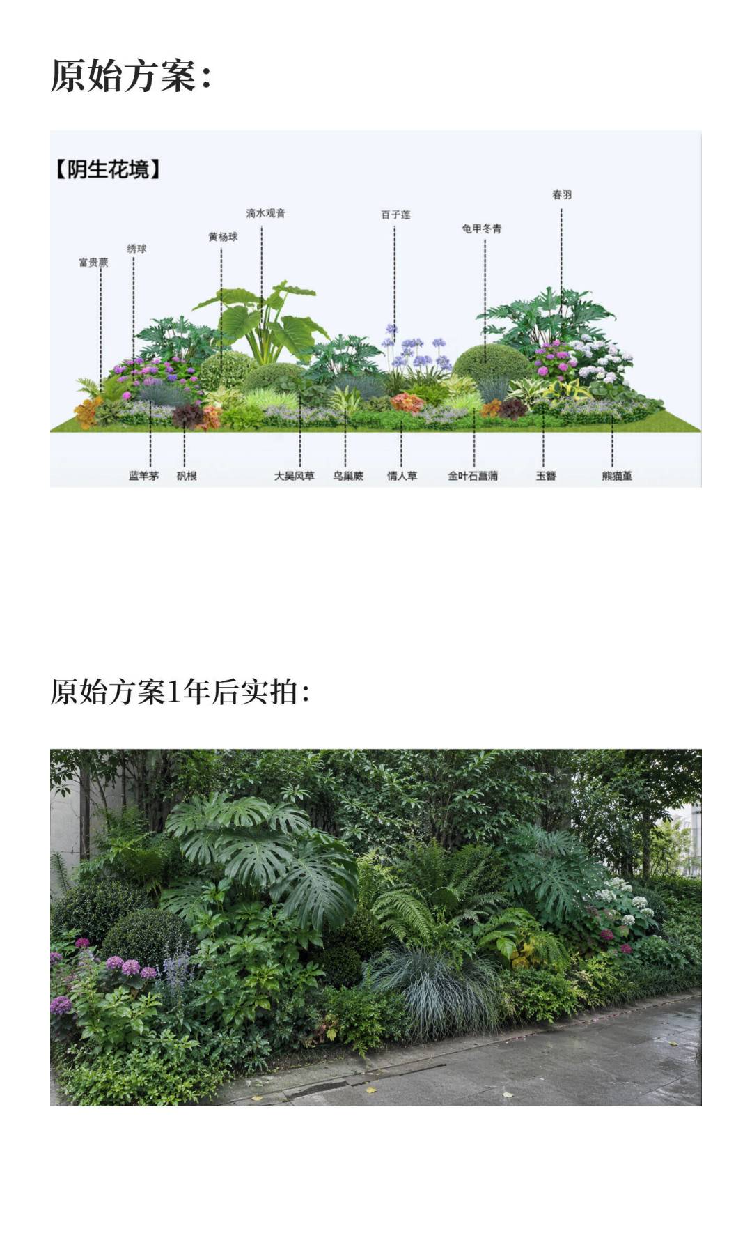 春天种的花境，8月就翻车？我们扒了全网20多个翻车复盘，发现错的其实就这5件事