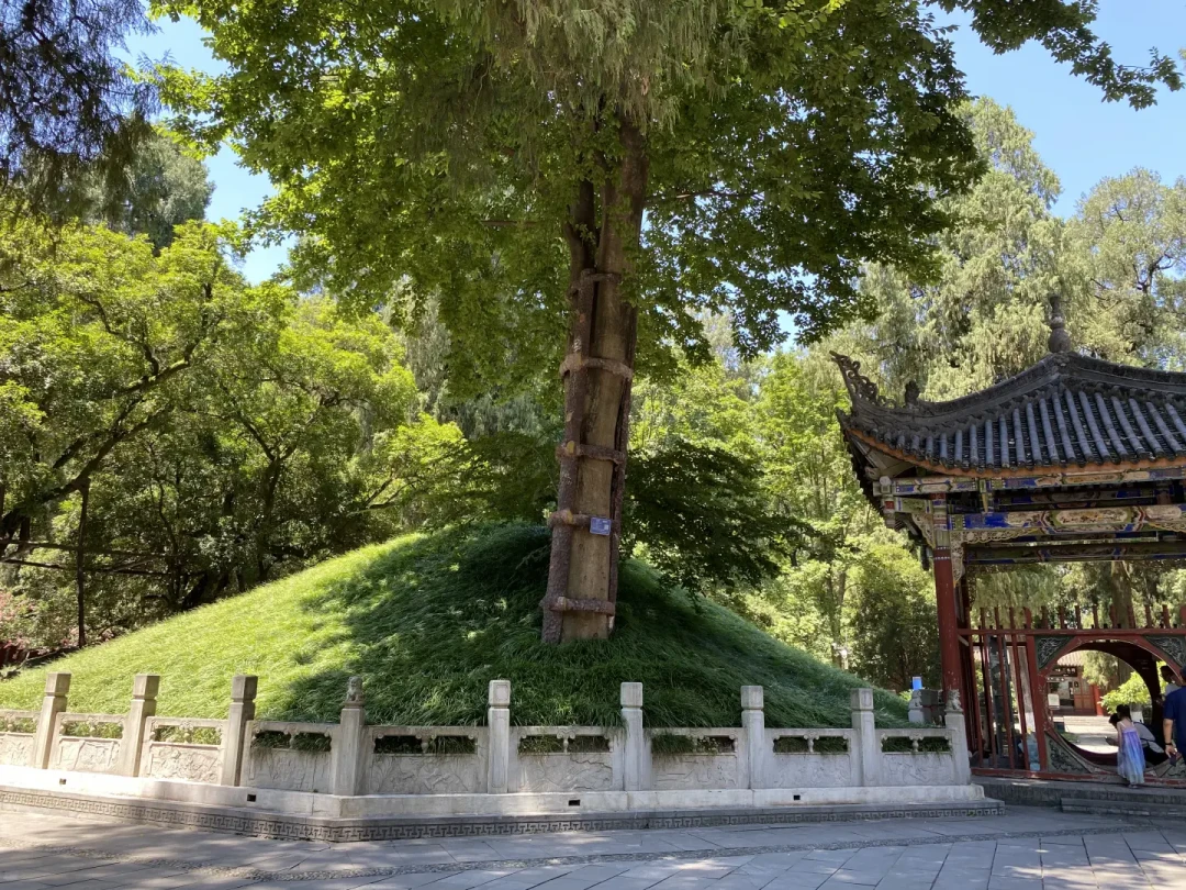 诸葛亮的真墓不在成都,在勉县定军山:去世1800年还有人给丞相写信,附门票与路线攻略