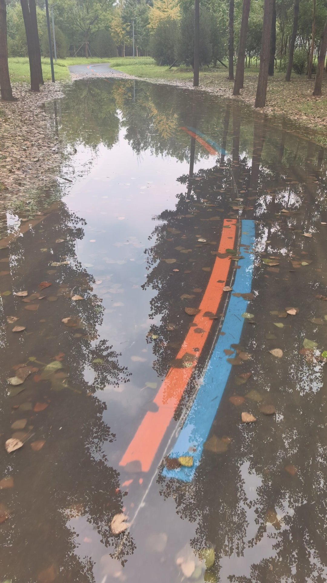 车刚淋雨/泡水还能骑吗?翻了几家修车店的处理流程:哪个部位先坏,DIY还是送店,有讲究
