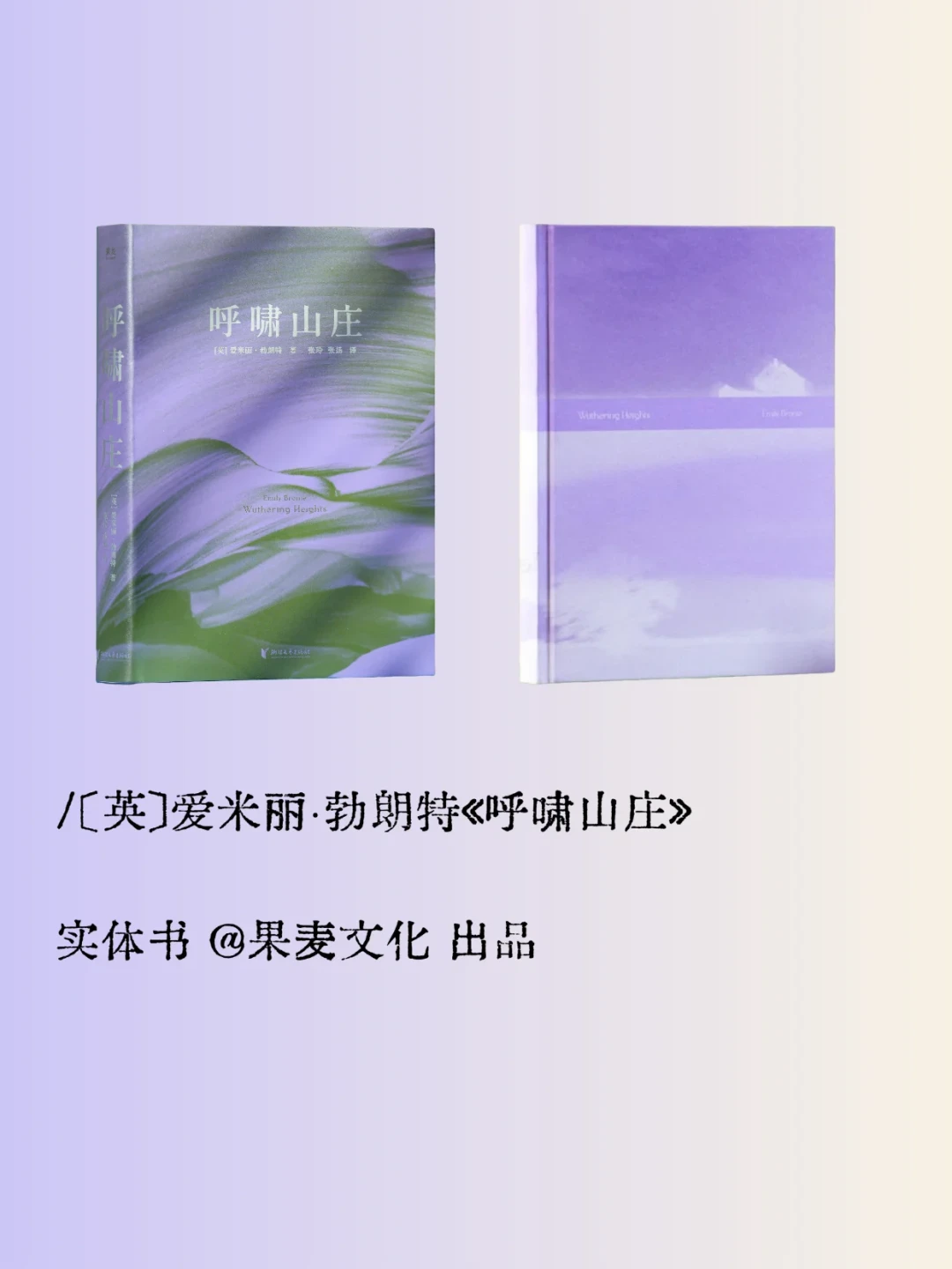 读完《呼啸山庄》觉得不对劲?网上吵起来的两派人,可能读的不是同一本书