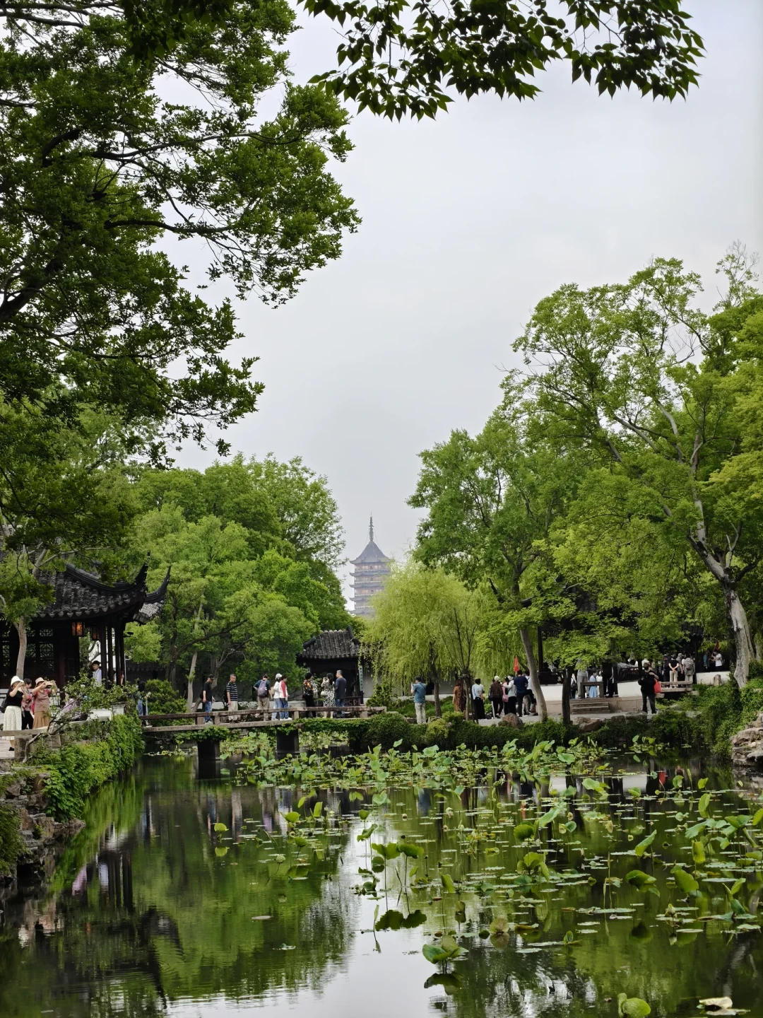 拙政园“早起冲园”开始失效了:翻完7、8月20多条游客实录,整理出这份避挤时间表