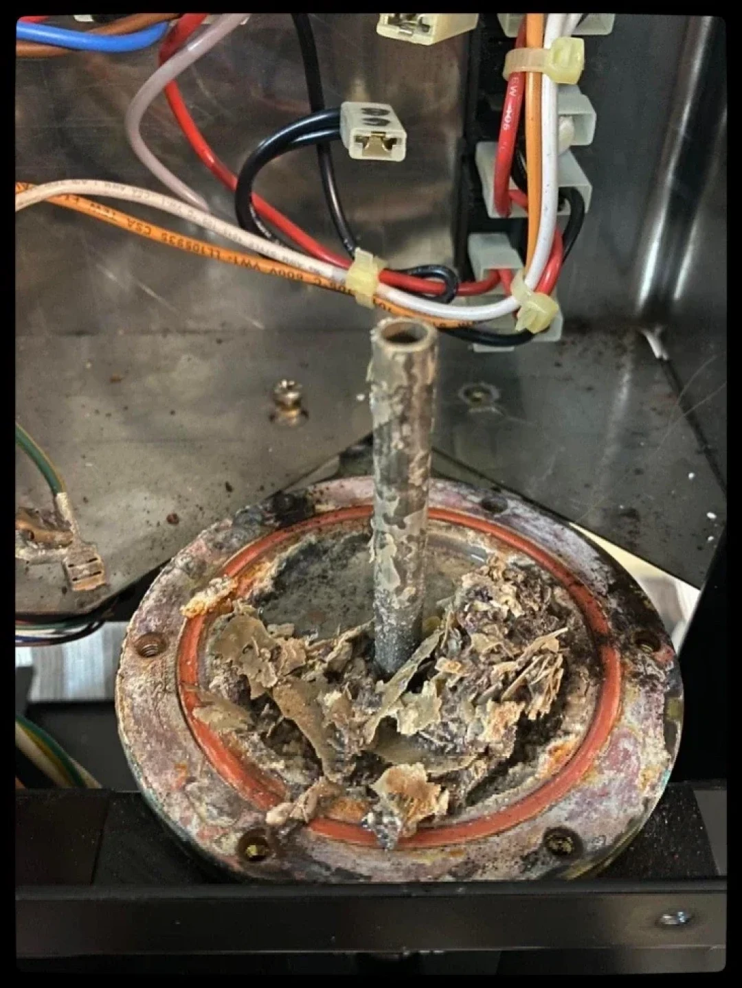 不是坏了,是脏了:我翻完三个平台的清洁除垢帖和翻车案例,给半自动咖啡机整理出这本养护账