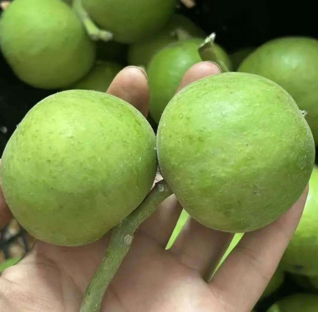 全网都在喊