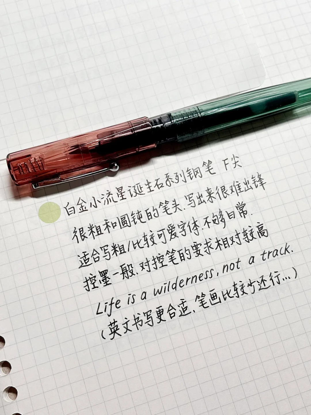 别急着给娃买开学钢笔：家长抢着买的正姿笔，恰是钢笔圈老玩家劝退的