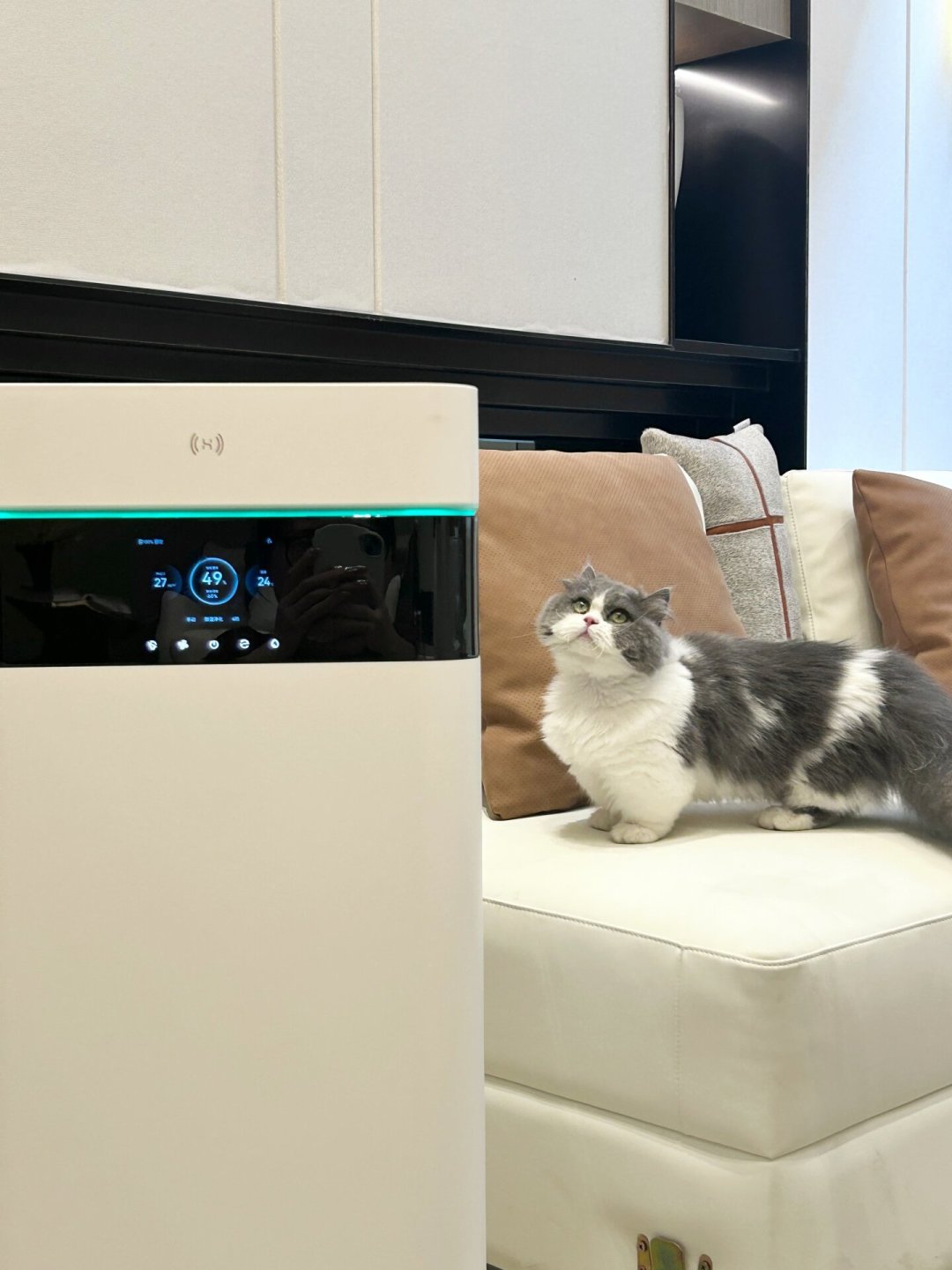 大促囤了10kg猫粮？单只猫要吃182天，夏天的保鲜窗口只有一个月左右：这笔储存账替你算完了