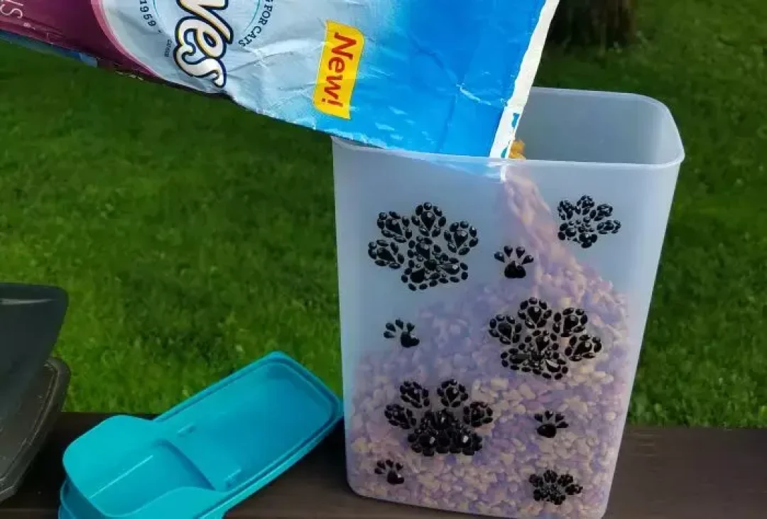 大促囤了10kg猫粮？单只猫要吃182天，夏天的保鲜窗口只有一个月左右：这笔储存账替你算完了