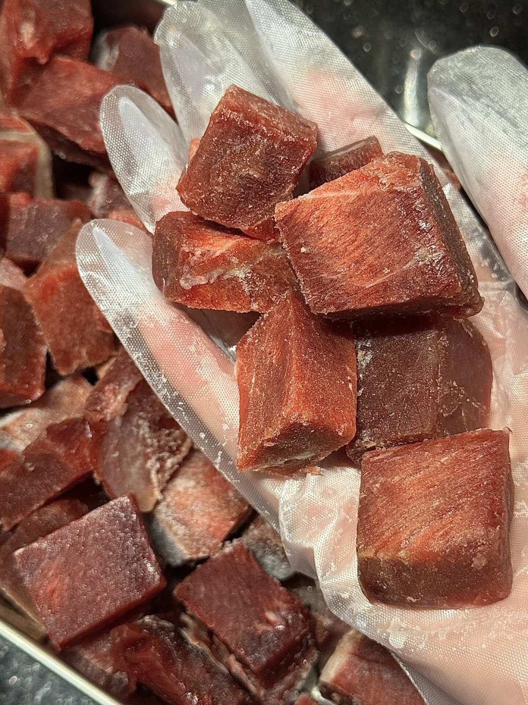 喂生骨肉一个月要花多少钱？我翻了全网的真实账单，整理出三档答案