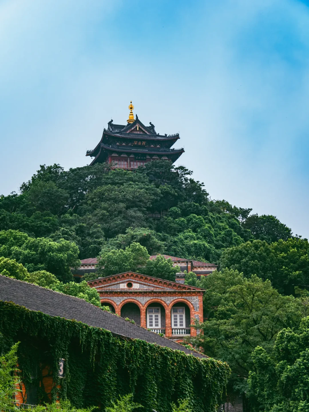 8月的西津渡,拼的是挑时段:早拍中午躲晚上看灯,街内三个收费点值不值一次说清