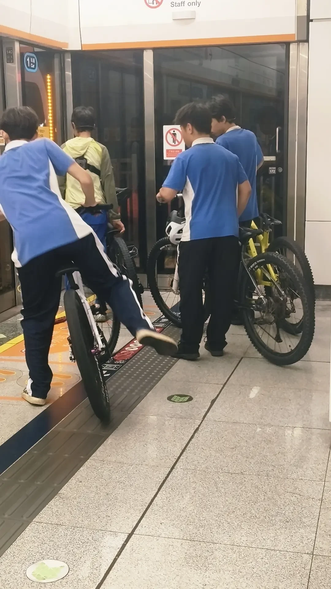 2026年带燕鸥进地铁还能不能行?对完各城市规则发现,“折起来就能进”是最大的误会