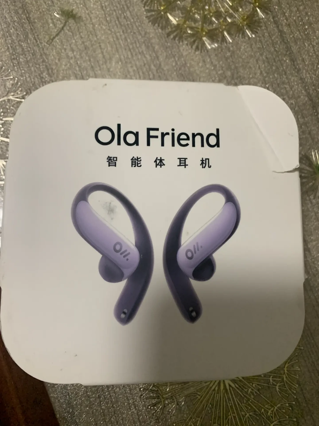 豆包智能体下线闹了一个多月：你的OlaFriend耳机里，AI还剩多少？