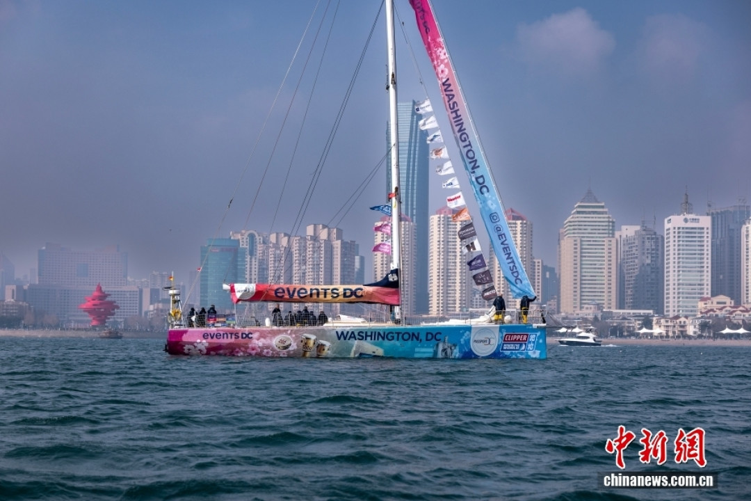 329天,4万余海里,“青岛号”夺冠凯旋:这场环球帆船赛,大部分船员报名前没有远洋经验