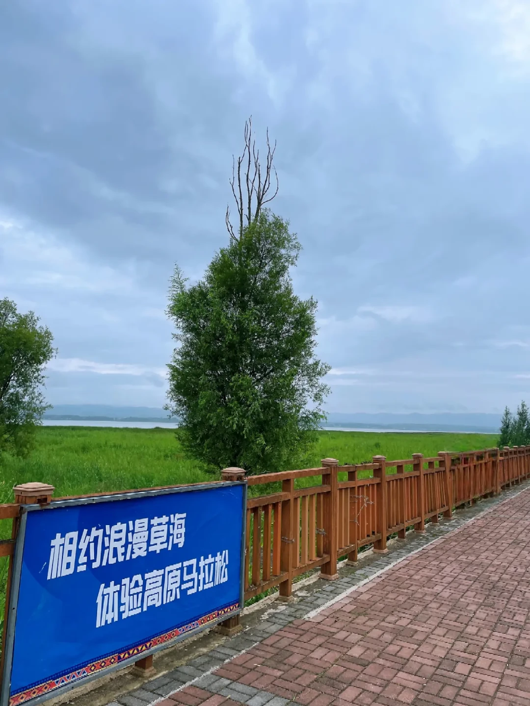 神行者4上市前先登台：周日2200米海拔的威宁半马，是多威新顶碳的真大考