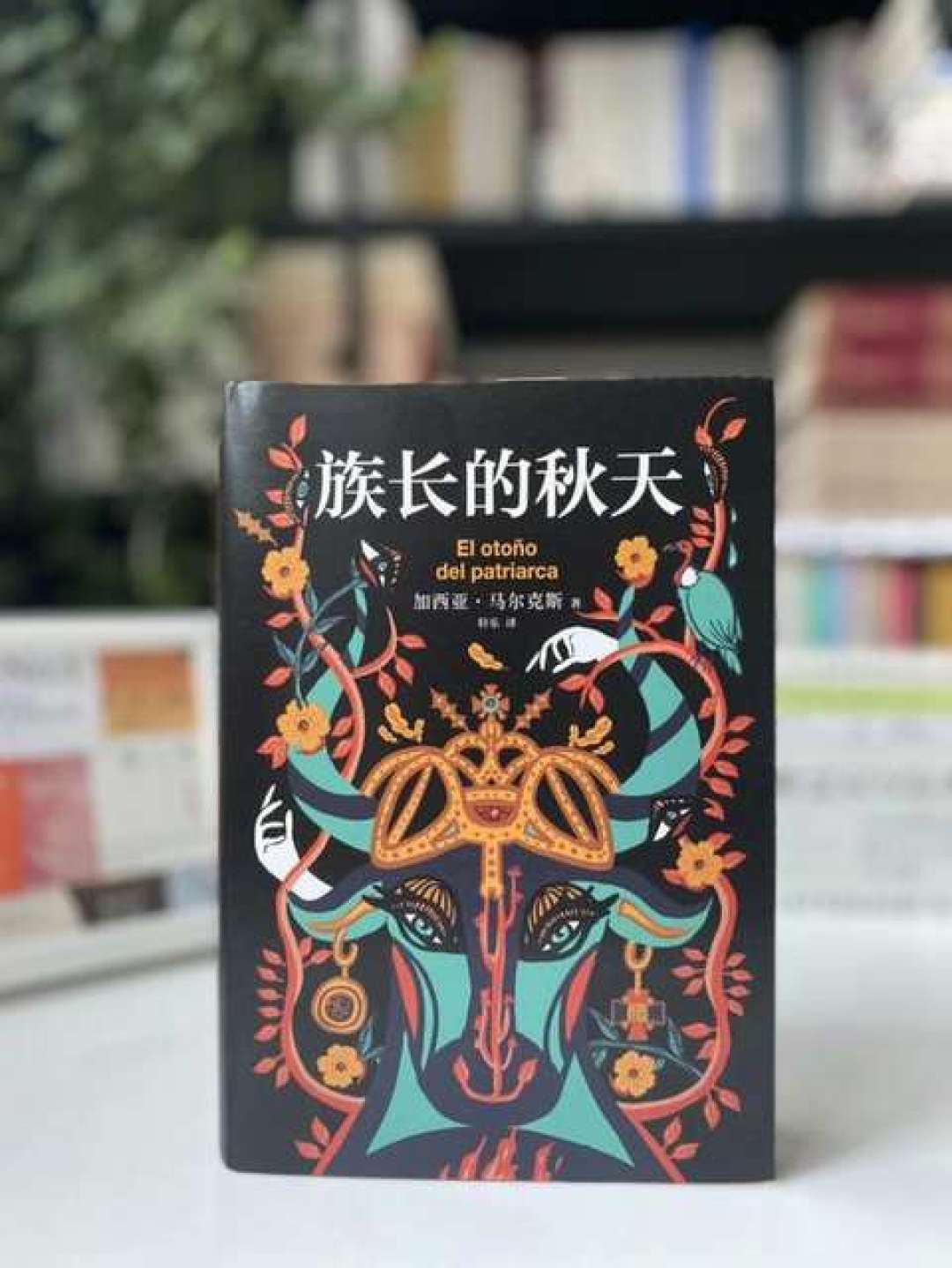 读完《百年孤独》,别急着买全集:一份按“好读程度”排好的马尔克斯进阶地图