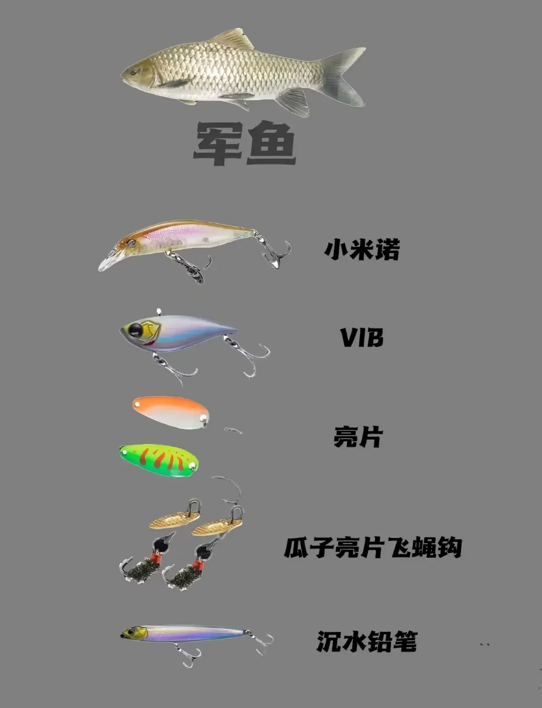 装备买齐了还是打龟?翻完全网微物教程才发现:缺的不是饵,是抛竿前的三个判断