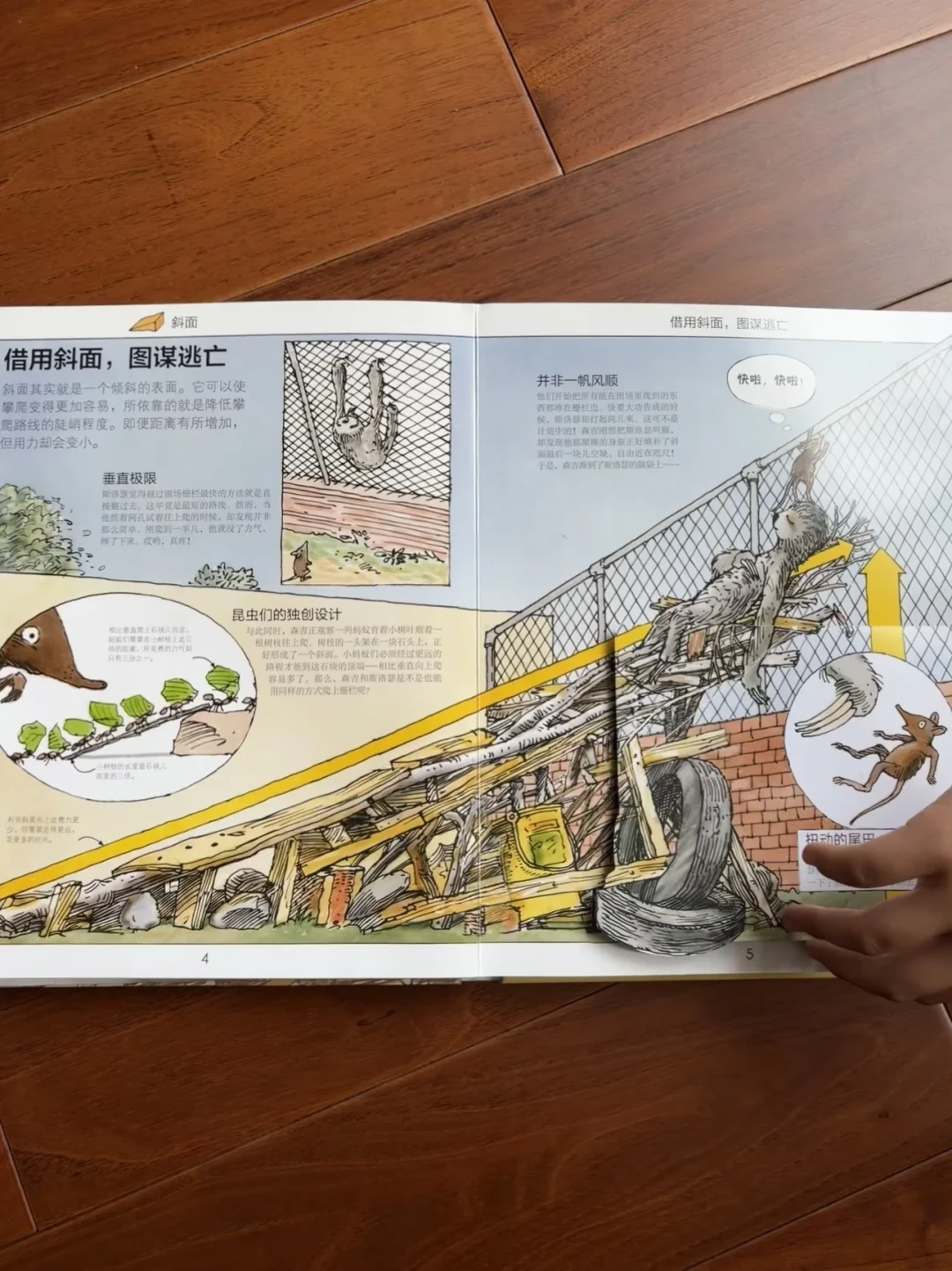DK神作孩子翻两页就不看了?有人对比了4个版本:先别怪孩子