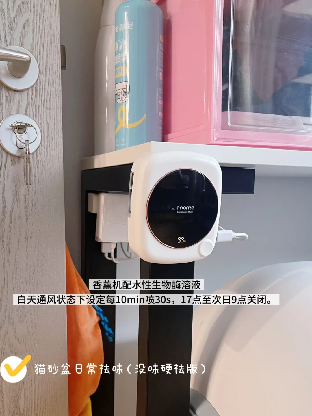 5只幼猫死于拖地：到底什么消毒液对猫才是安全的？