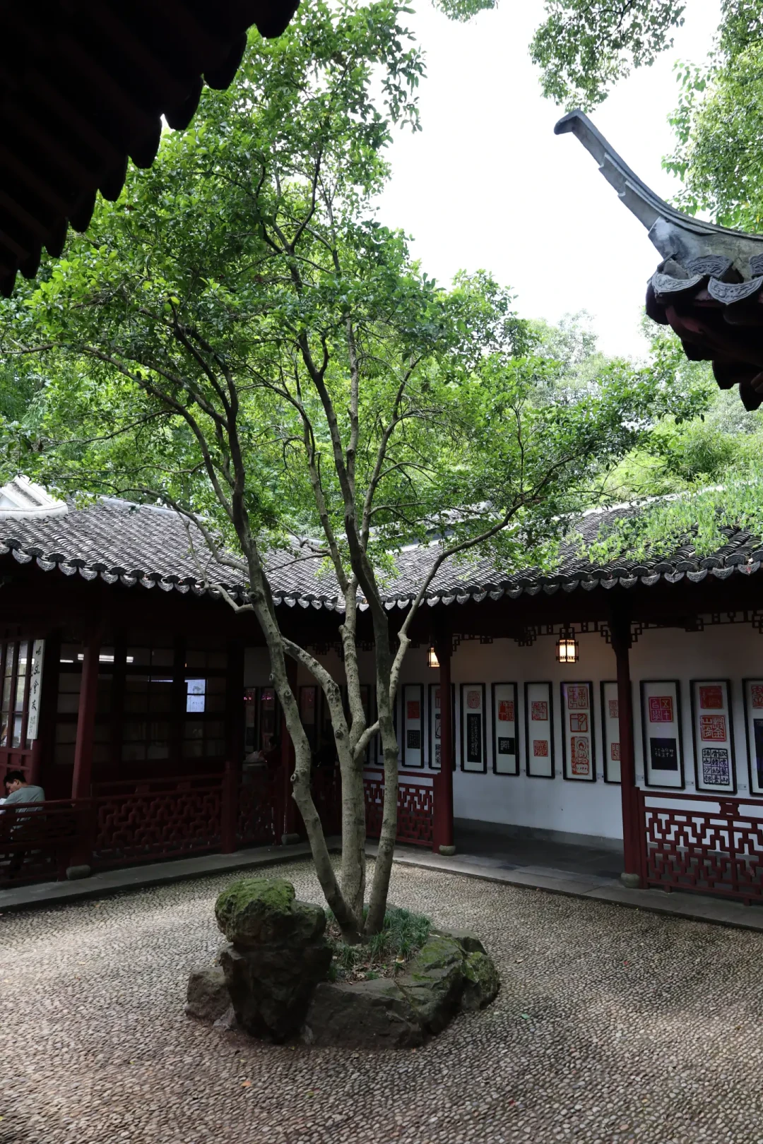 这周末,西泠秋拍征集到南京:家里什么