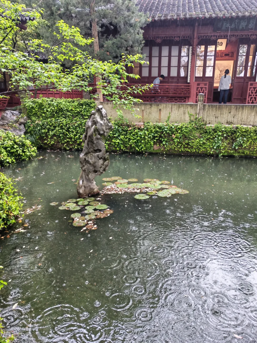 这周末,西泠秋拍征集到南京:家里什么