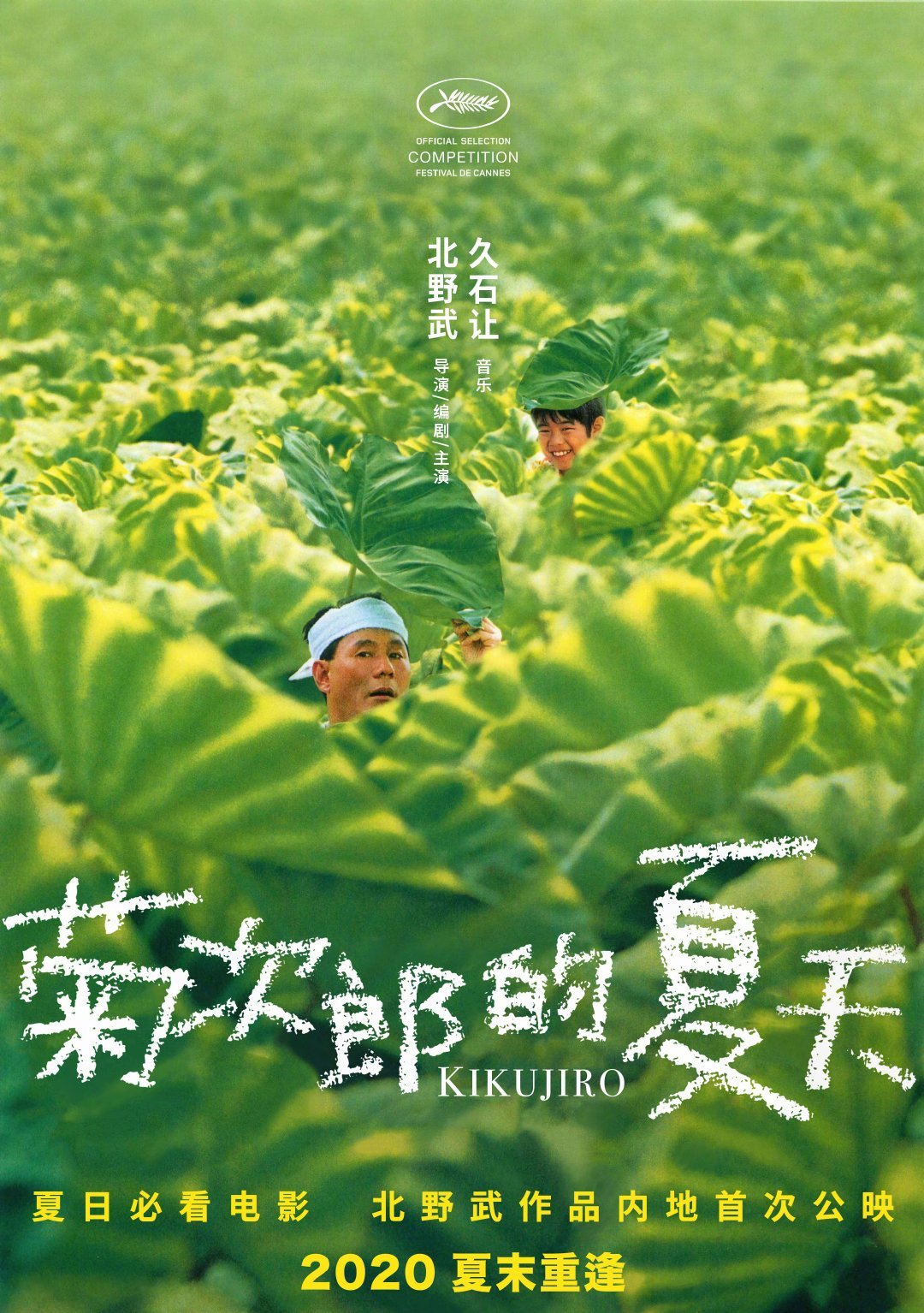 《菊次郎的夏天》这两天又刷屏了：菊次郎不是那个男孩，是北野武父亲的名字（附进阶观影路线）