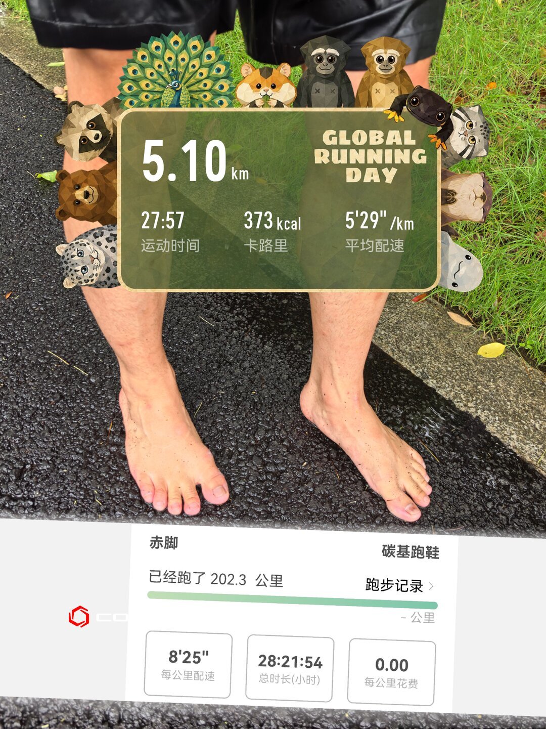 有人赤足跑3公里就挂彩,有人无伤跑了200公里:翻遍全网血泪帖,整理出这条入门路径