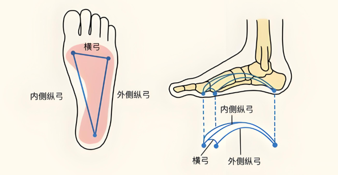 足弓练了一个月没感觉?翻遍研究和跟练帖我发现:大多数人卡在第一步