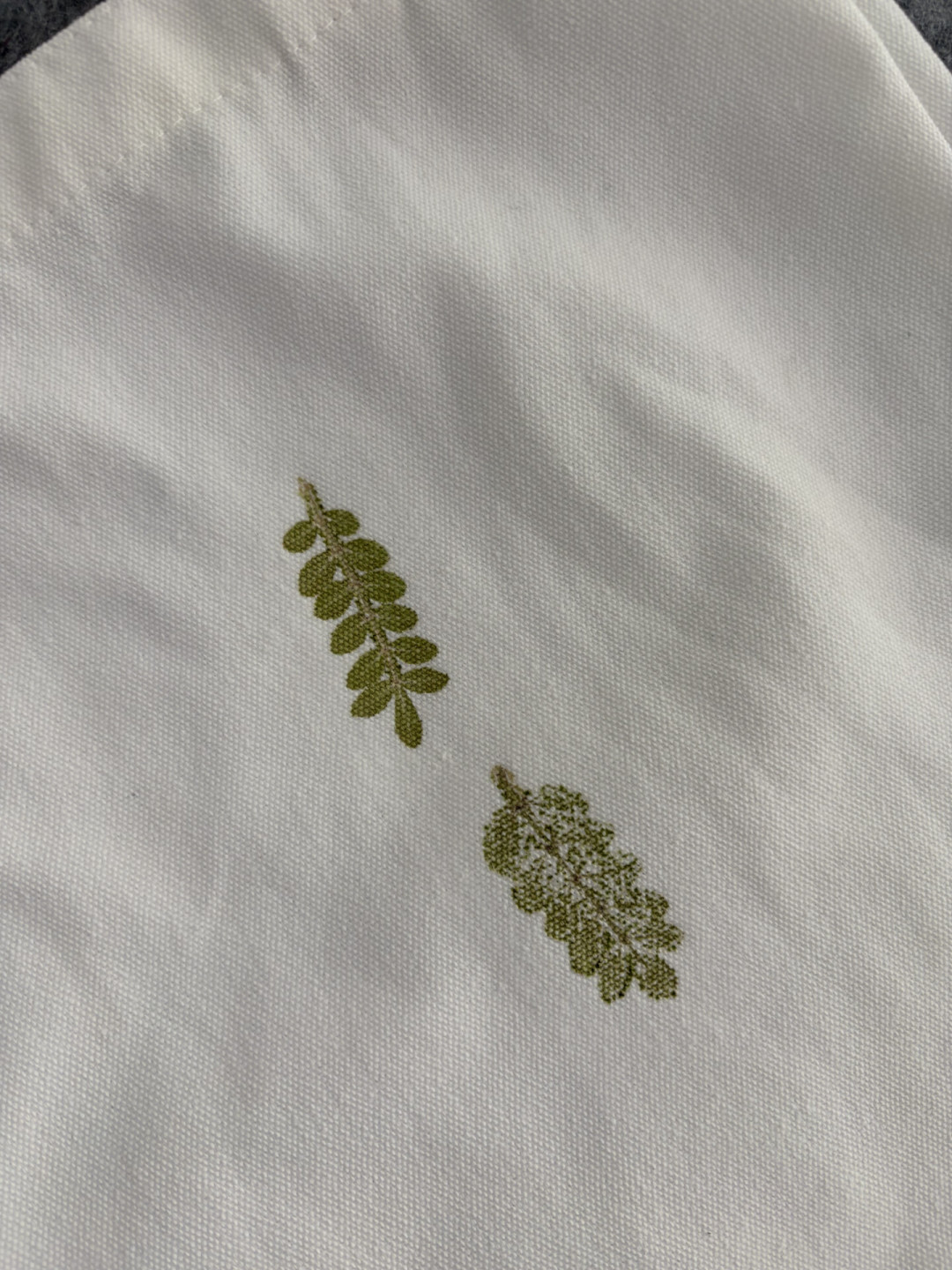 绣球一锤下去变黄棕，牵牛花敲成糊：植物拓染「易成功」和「高翻车」植物清单，采之前先看一眼