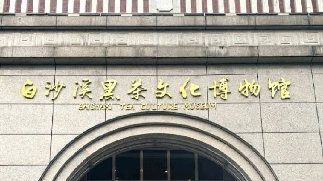 安化黑茶传销风波半年后：被