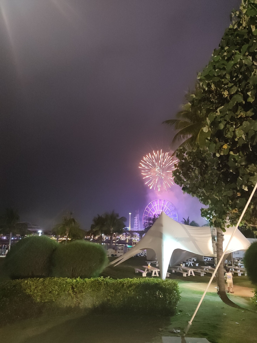 一半人劝退,一半人二刷:带娃去海南海洋欢乐世界,先想明白这3件事再买票