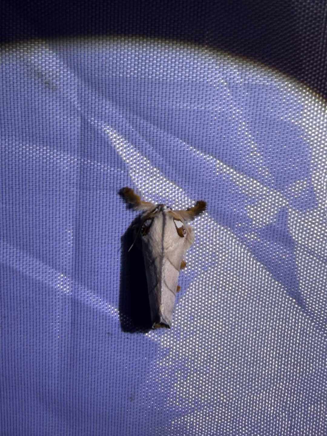 带娃去云南雨林夜观昆虫？同一个营地，一半人吹爆一半人避雷，先把这5条路线的差异看懂