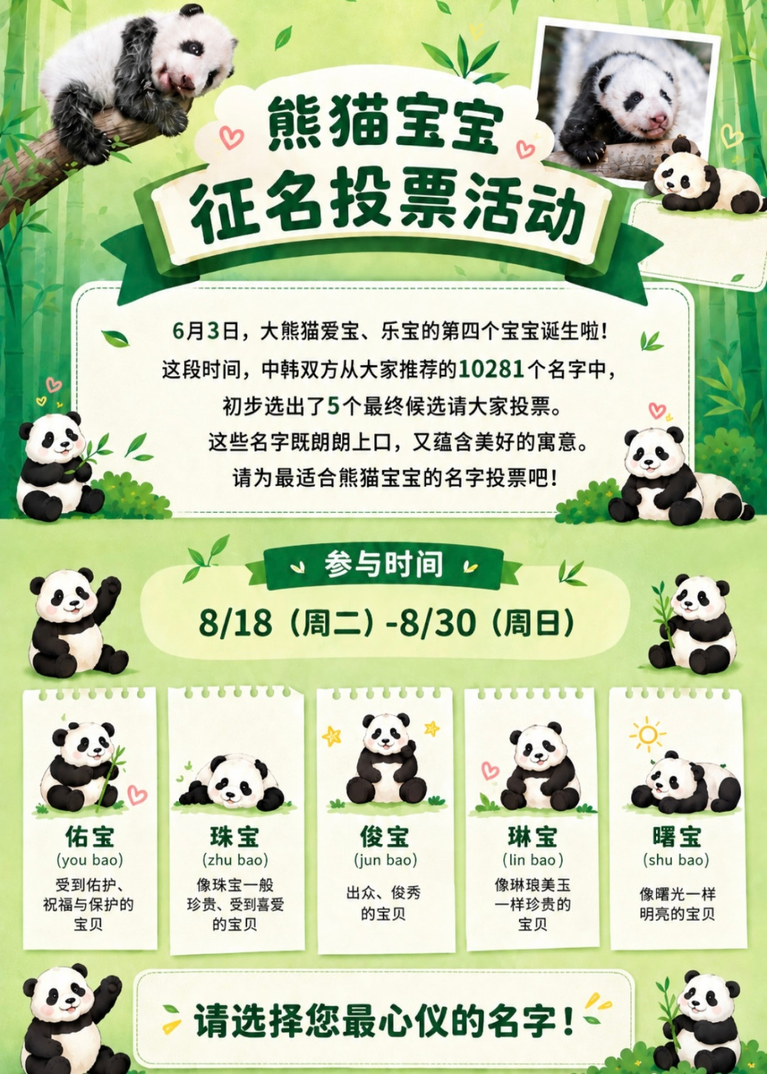 征名投票第3天,佑宝国内侧已过半、韩国线下榜首却是曙宝:俊宝阵营只剩10天