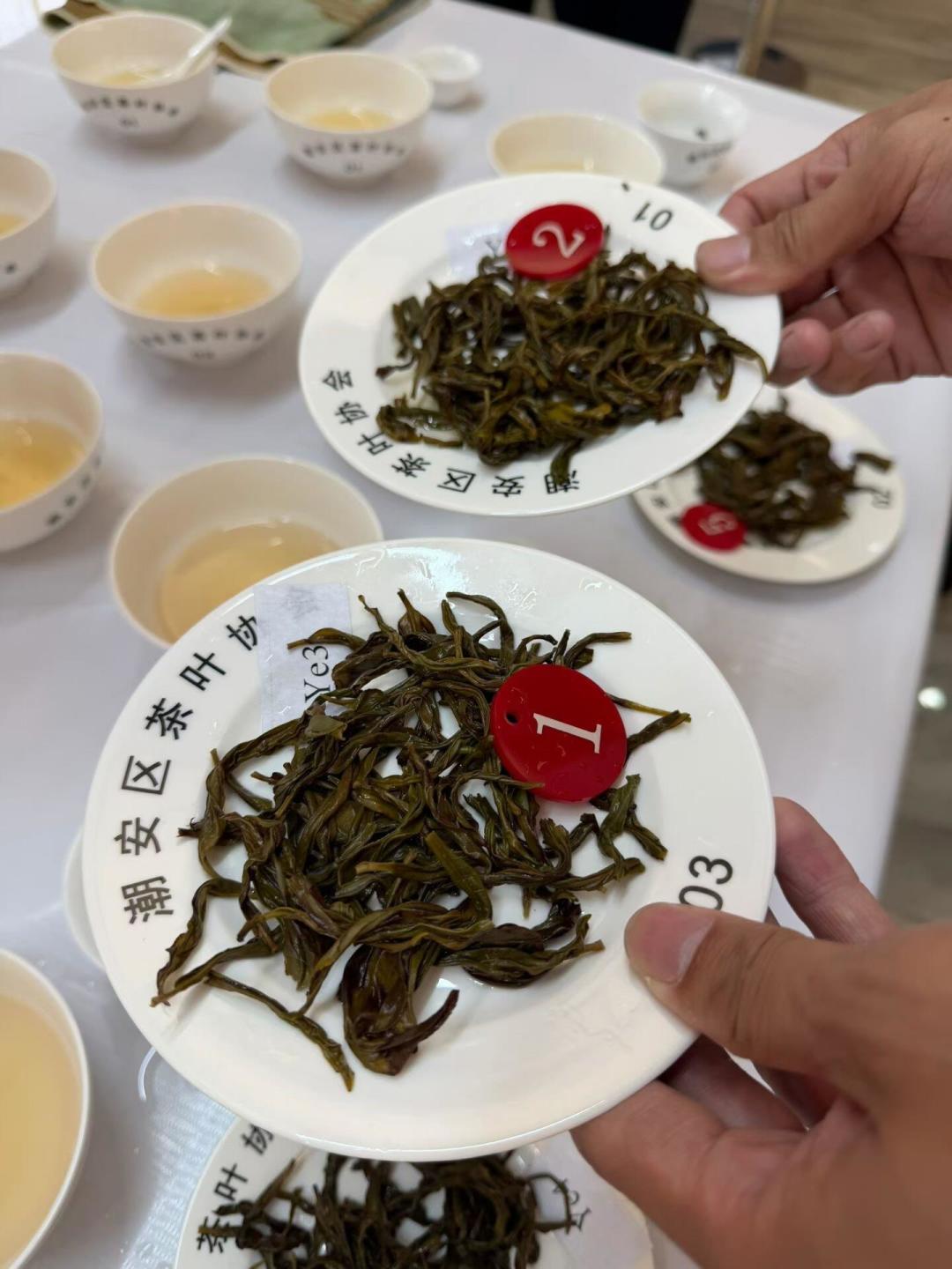 三大茶王出炉,获奖茶拍出6万元/斤:斗茶旺季,“茶王”是怎么选出来的?