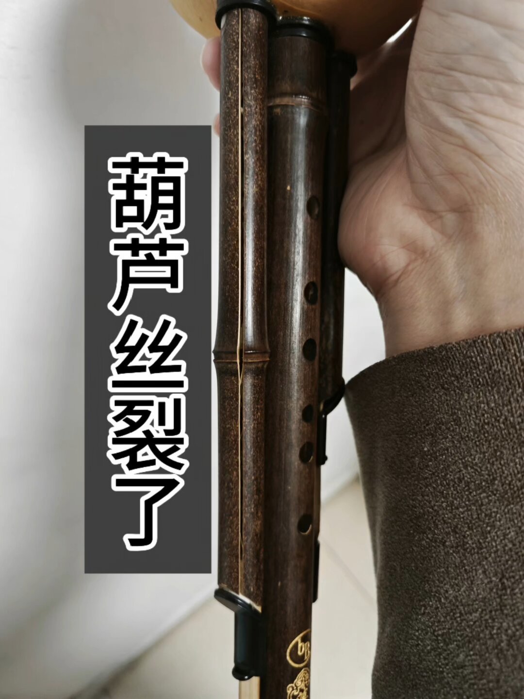 葫芦丝“low”吗？知乎13万人吵过，它却已从傣家村寨吹进维也纳金色大厅