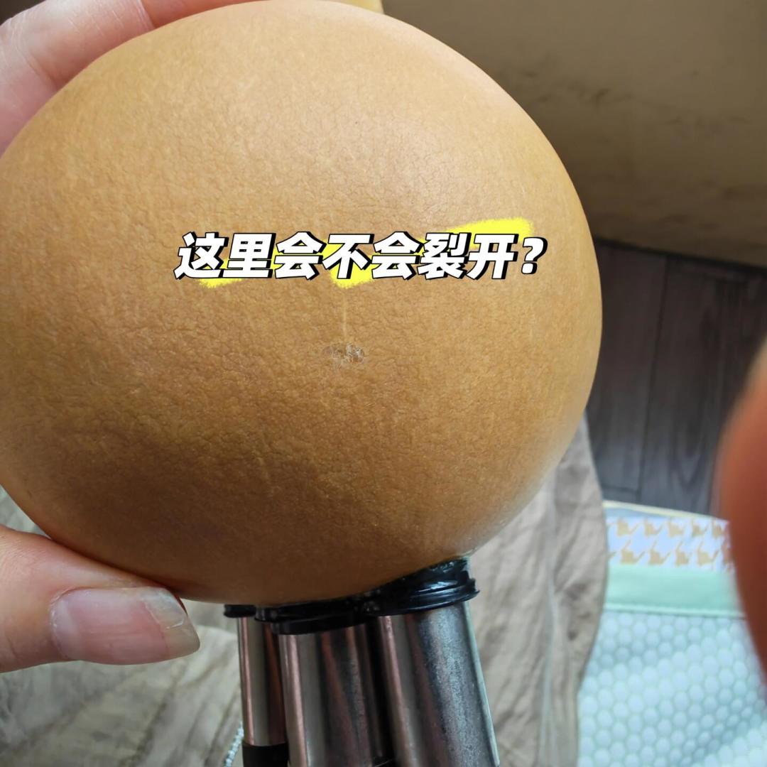 葫芦丝“low”吗？知乎13万人吵过，它却已从傣家村寨吹进维也纳金色大厅