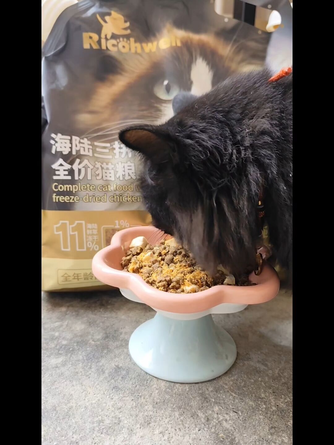 千猫瘫痪一个半月,亚宠展本周开展:大促囤猫粮前,先查这三件事