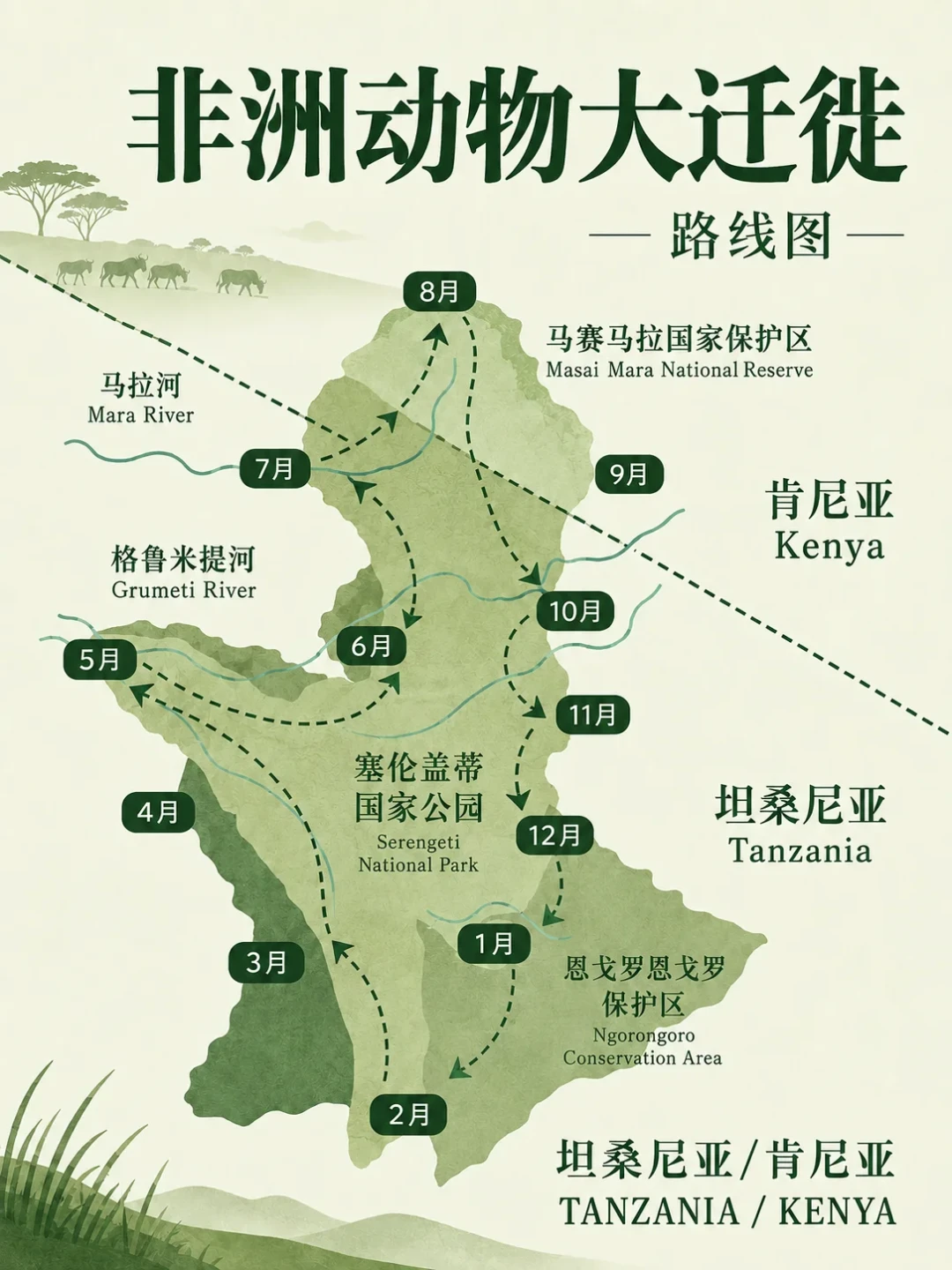 同一片草原,有人两天看到三次,有人蹲守9小时:角马过河是一场“概率游戏”
