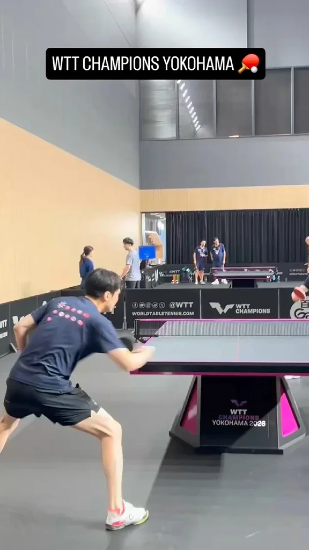 一场奥运会逼出马龙张继科两个名场面:十年后,郑荣植站进了WTT教练席